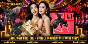 Gamefowl First Aid - Handle Injuries With Care Steps